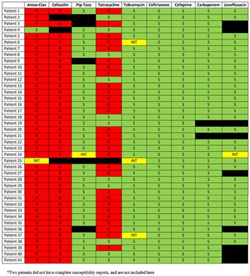 An Antimicrobial Treatment Assessment of Serratia marcescens Bacteremia and Endocarditis